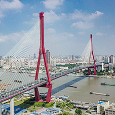 上海杨浦大桥